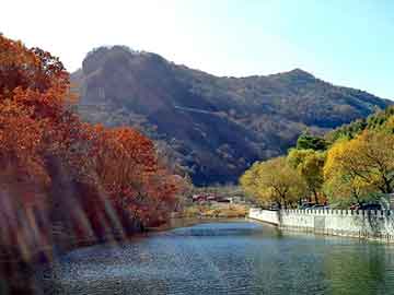 澳门期期准免费精准，蟾酥价格